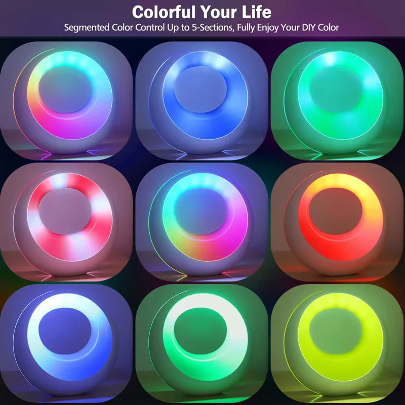 Modern Ring Lamp with Multi colour mode